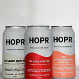 The Hoppy Pack One